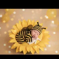 ادیت عکس|تابلو، نقاشی، عکس|قم, زند آباد|دیوار