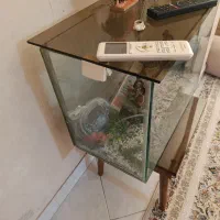 آکواریوم