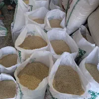 برنج لنجان به شرط پخت|خوردنی و آشامیدنی|اصفهان, سرشبادران|دیوار