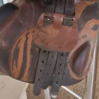 زین پرستیژ|اسب و تجهیزات اسب‌سواری|اقبالیه, |دیوار