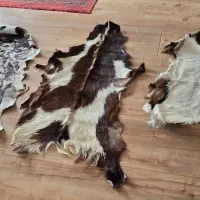 تعدادی پوست  طبیعی برای فروش