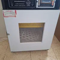 دستگاه جوجه کشی|لوازم جانبی حیوانات|شیراز, شهرک بهشتی|دیوار