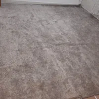 پالاز موکت|موکت|کرمانشاه, |دیوار