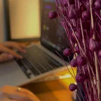 تعهدکاری درنگاشتن تا اکسپت مقاله isiوعلمیپژوهشی