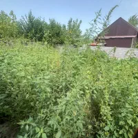 زمین-تربگوده-سنددار-و-مسکونی