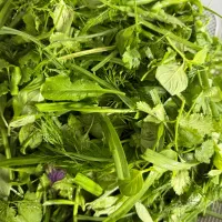 فروشنده خانم