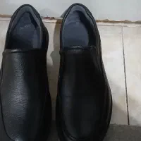 کفش|کیف، کفش، کمربند|فردیس, فردیس|دیوار