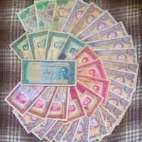 دنیای مجموعه داری