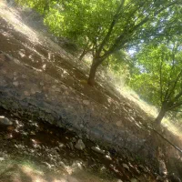 راهنمای کنید کار میخام