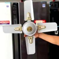 کوی علوی عبدالقادر سیاحی
