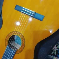 گیتار در حد نو c40|گیتار، بیس، امپلیفایر|آمل, |دیوار