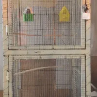قفس پرنده