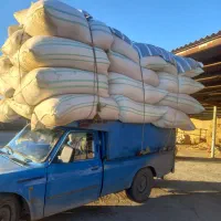 فروش وخرید کاه گندم