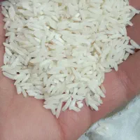 برنج هاشمی درجه یک شمال|خوردنی و آشامیدنی|اردبیل, |دیوار