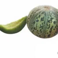 مگسی شیرین روستا بتو