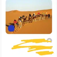 تور ۲/۵روزه کویر مصر