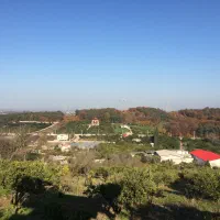 مشارکت(نصف کاری)