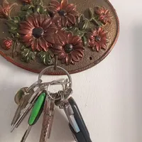 دسته کلید گمشده حاوی ریموت دزد گیر ودسته کلید