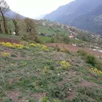 این-زمین-فروشی