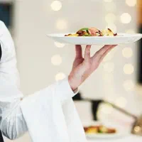 استخدام سالندار