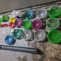 لوازم جانبی کبوتر|لوازم جانبی حیوانات|اهواز, کمپلو جنوبی|دیوار