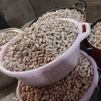 باقالی کشاورزی|خوردنی و آشامیدنی|رشت, جانبازان|دیوار