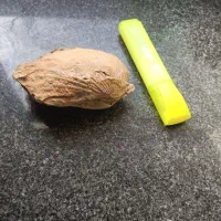 فسیل دو کفه ای مربوط به ژوراسیک ایران|کلکسیون اشیاء عتیقه|طبس, |دیوار