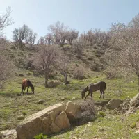 سرمایکس جایزه 500