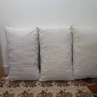 پشتی