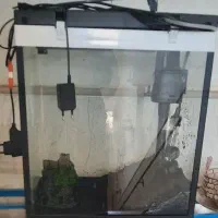 آکواریوم ماهی