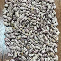 لوبیااعلا بشرط پخت لوبیااعلا