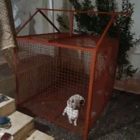 لونه سگ یا لونه مرغ بزرگ|لوازم جانبی حیوانات|رشت, آب آسیاب|دیوار