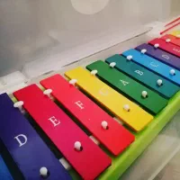 بلز و فلوت موسیقی کودک|سازهای سنتی|یاسوج, |دیوار