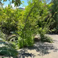 کد-8774-فروش-خانه-ویلایی