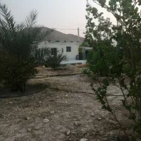 باغ شهری حسن لری 1000 متری قابل معاوضه|فروش زمین و ملک کلنگی|لار, |دیوار