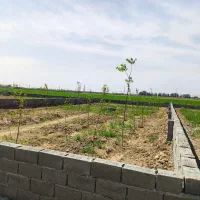 باغچه به متراژ ۴۰۰ متر