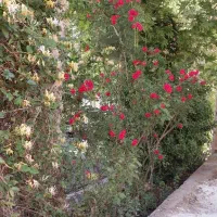 اپارتمان مبله در باغ شهر زیبای نطنز|فروش آپارتمان|نطنز, |دیوار