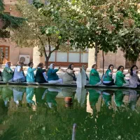 بنفشه های گیلان