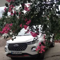 ماشین عروس