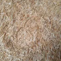 کاه گندم|لوازم جانبی حیوانات|دورود, |دیوار