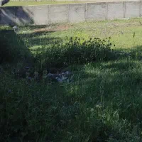 ۲۲۰متری، نزدیک بافت و امکانات