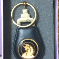 جاکلیدی ALONE