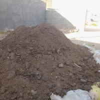 کود گوسفندی