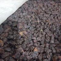 مویزمحلی شیراز کلیوی 150000|عمدهفروشی|امیدیه, |دیوار