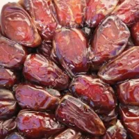 خرما|خوردنی و آشامیدنی|تهران, دانشگاه شریف|دیوار