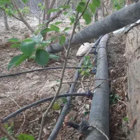 لوله کشی پلی ایتلن|خدمات پیشه و مهارت|خمینیشهر, |دیوار