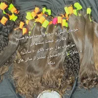 مرکز اصلی و بدون واسطه فروش موهای طبیعی