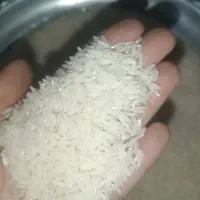 برنج درجه یک هاشمی الموت خوش قیمت خوش پخت خوش عطر