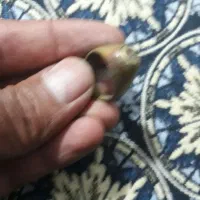 انگشتر حرز