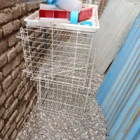 قفس فلزی